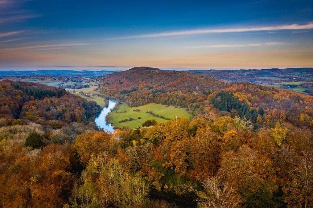 Forest Of Dean, The Cotswolds