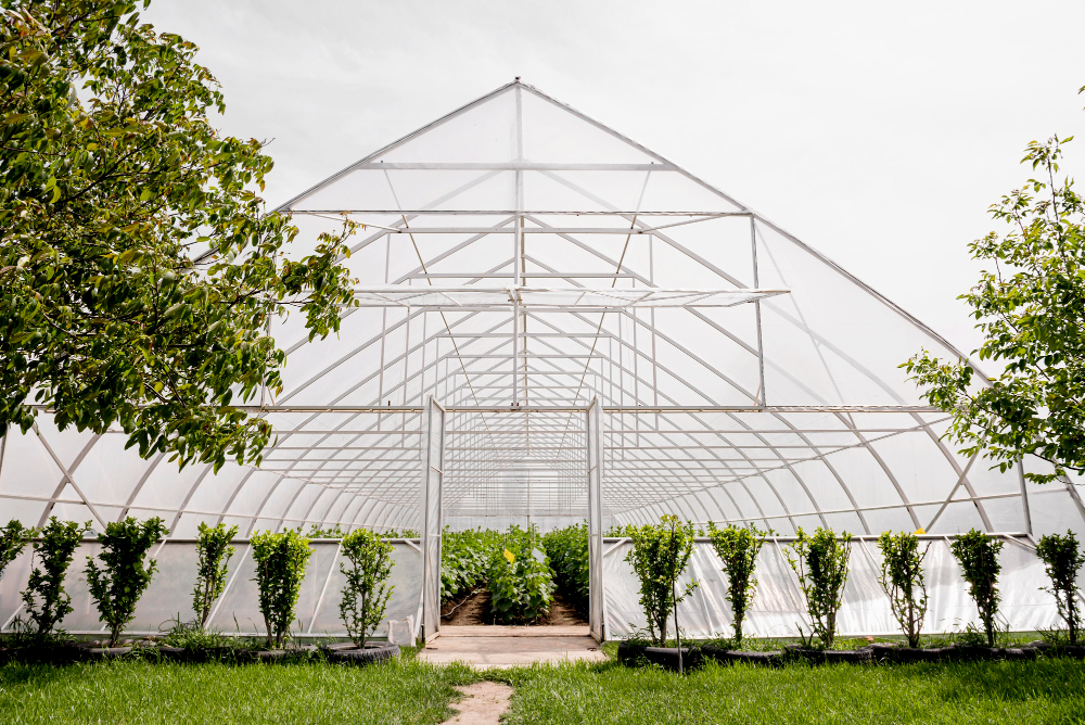 Best Greenhouses in UK