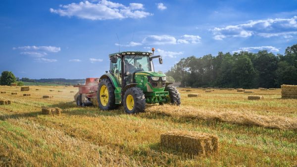 Start an Agricultural Business in the UAE