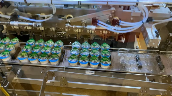 Ambrosia Creamery to Invest £19m in Lifton Site Expansion