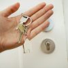 Florida Real Estate Fraud Case