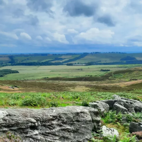 Sir David Attenborough backs £30m bid to save Rothbury Estate