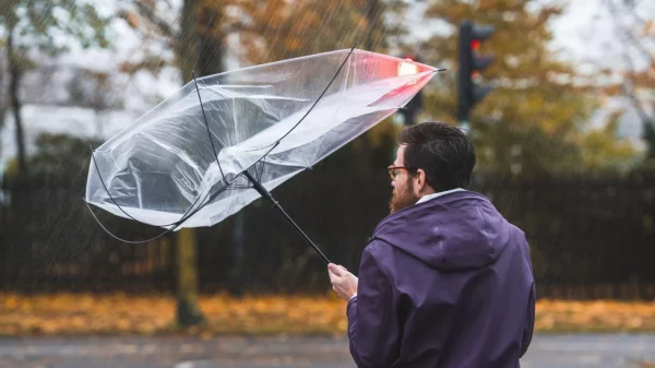 Yellow wind warning issued for Northern Ireland