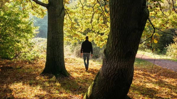 Britain nature connection global study 2025