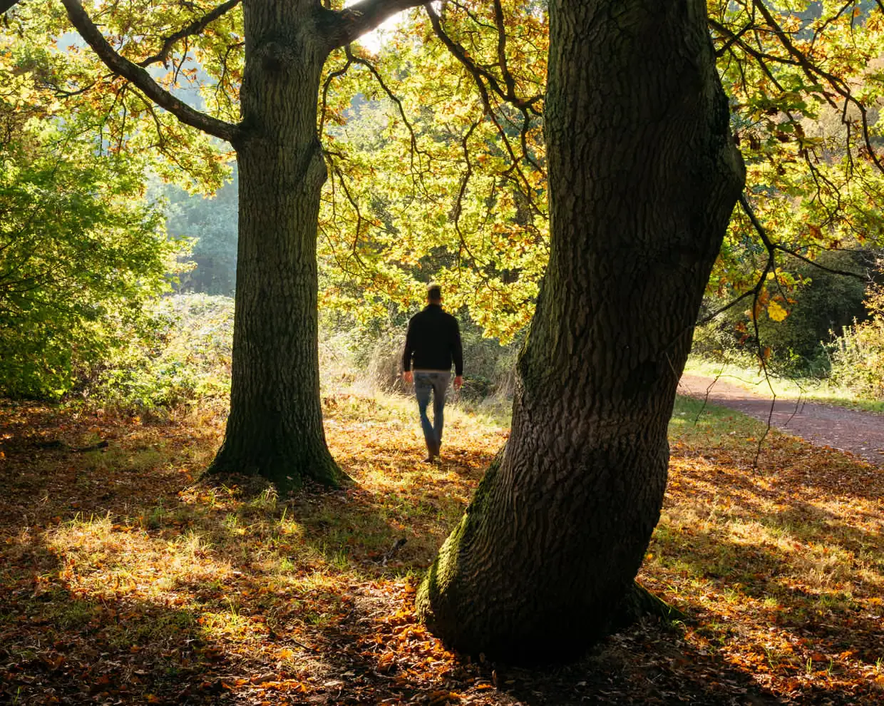 Britain nature connection global study 2025